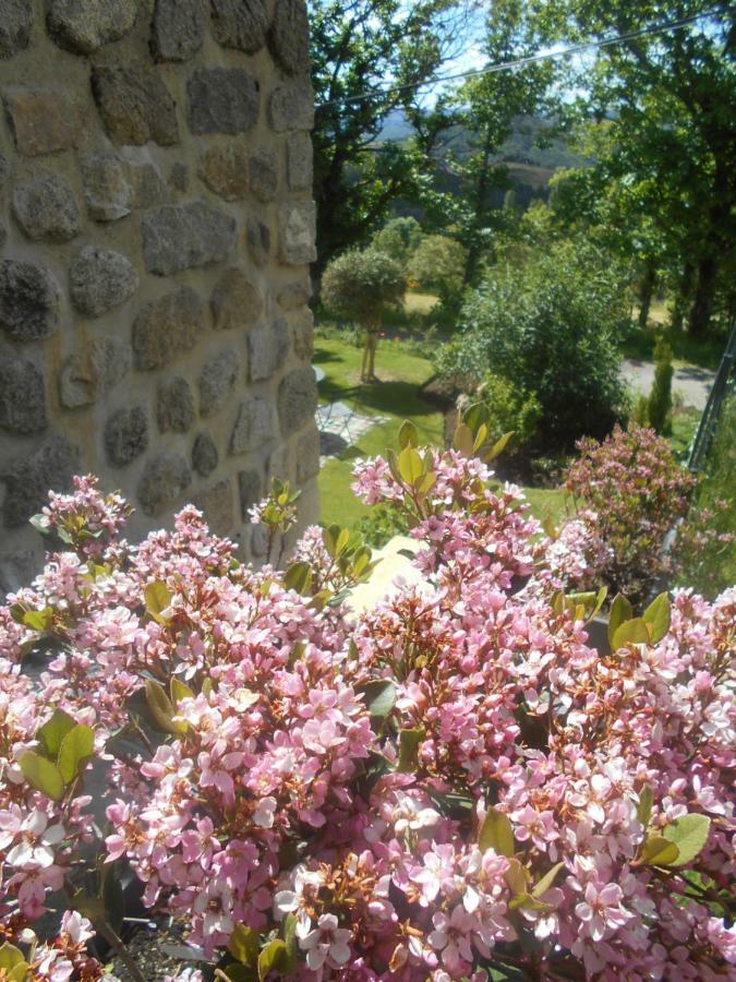 Maison D'Hotes Les Palmiers Gluiras Exteriér fotografie